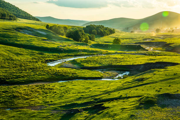 istock prairie at the sunset 826200494