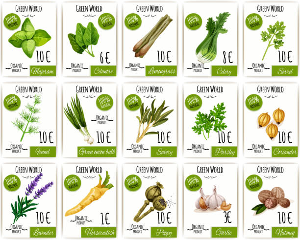 zioło i przyprawy tag lub cena etykiety zestaw projektowania - mint herb vegetable freshness stock illustrations