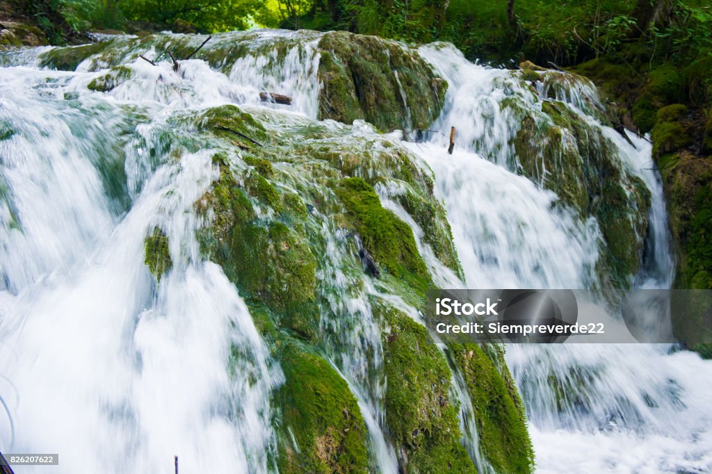 Jedyny Polski Park Narodowy Wpisany Na Listę światowego Dziedzictwa Unesco Park Narodowy Jezior Plitwickich Największy Park Narodowy W Chorwacji