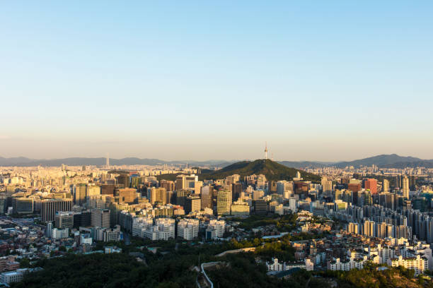 Seoul South Korea City Skyline with seoul tower.