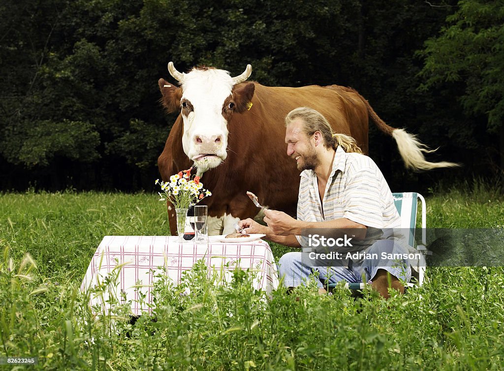 Man eating steak in field with cow  Bizarre Stock Photo