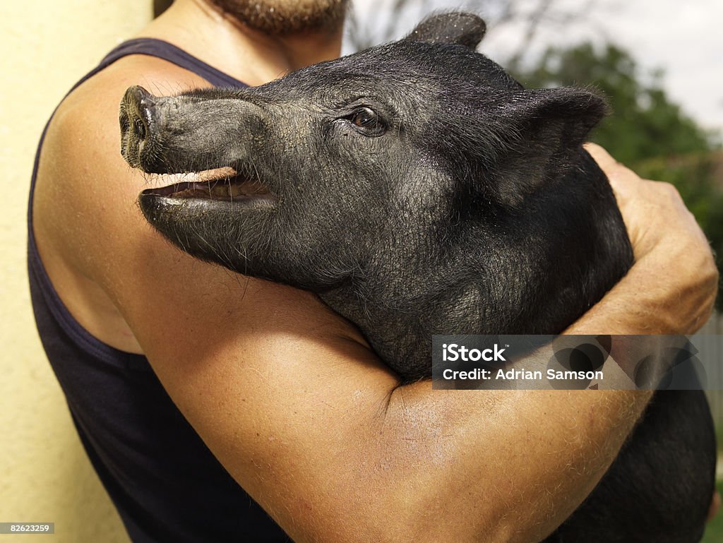 Farmer holding pig in his arms  35-39 Years Stock Photo