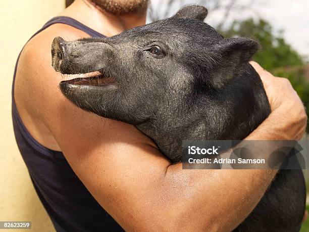 Farmer Holding Pig In His Arms Stock Photo - Download Image Now - 35-39 Years, Adults Only, Attitude