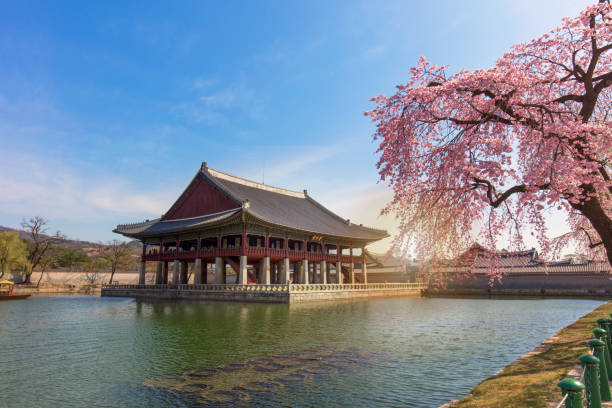 istock Gyeongbokgung Palace 826236166