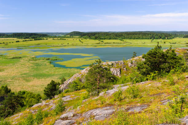 istock Olonka river landscape, Olonets, Russia 826239950