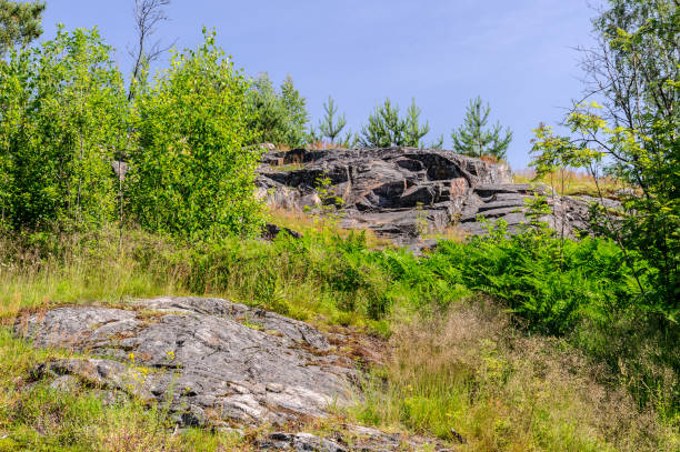 istock Beautiful nature (background) landscape 826239978