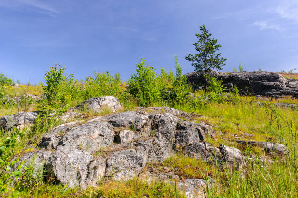 istock Beautiful nature (background) landscape 826240034