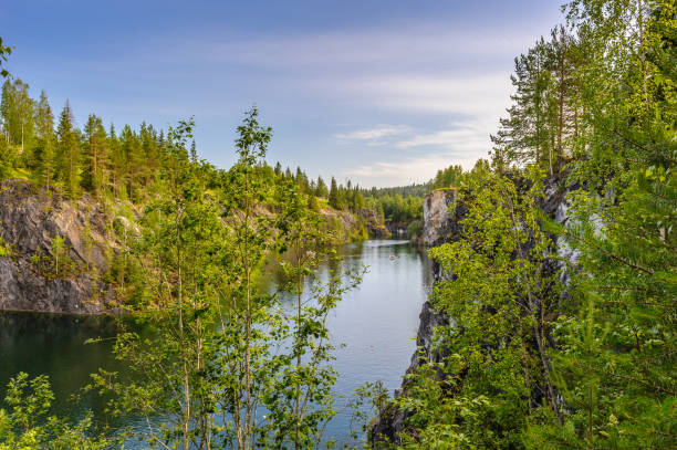 istock Russian forest close view of the trees 826240264