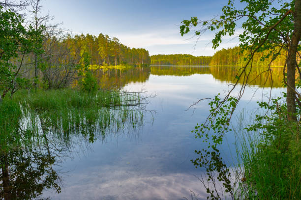 istock Beautiful lake and the forest around 826241108