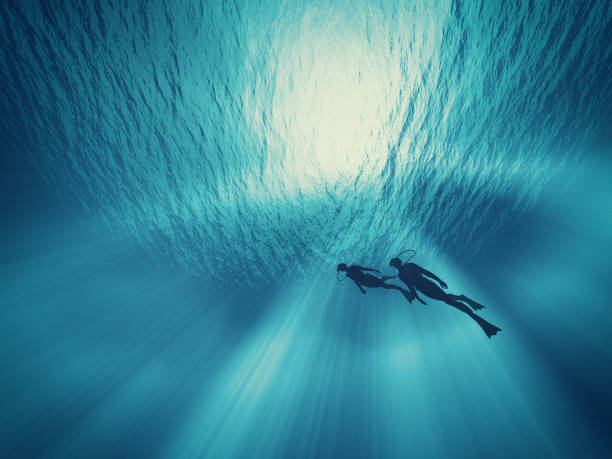 A couple of dives swim A couple of dives swim under water. This is a 3d render illustration underwater diving stock pictures, royalty-free photos & images