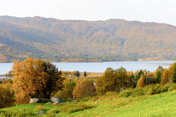 istock Geilo in Hardangervidda Plateau, Norway, Europe. 826261224