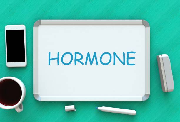 istock HORMONE, message on whiteboard, smart phone and coffee on table, 3D rendering 826261232