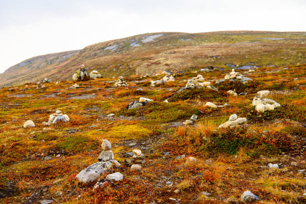 istock Hardangervidda National Park, Norway 826261354