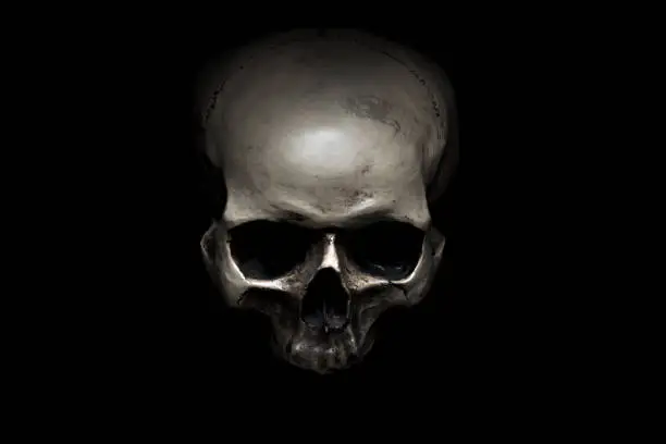 Photo of Skull