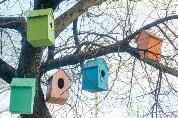 istock Multicolored birdhouses on the branches of a tree 826273158