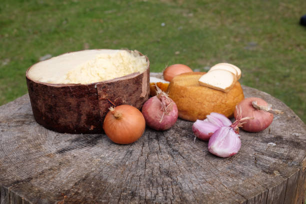Shepard food with onions and cheese