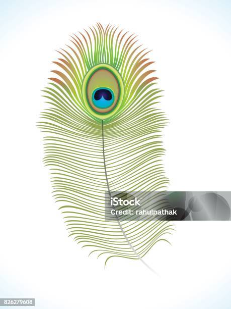 Abstract Artistic Peacock Feather Stock Illustration - Download Image Now -  Krishna, Peacock Feather, Abstract - iStock