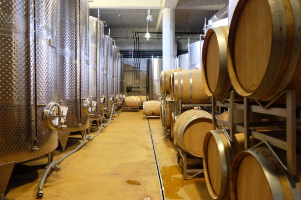 wnętrze nowoczesnej podziemnej winnicy ze zbiornikami aluminiowymi i beczkami na wino - alcohol wine barrel la rioja zdjęcia i obrazy z banku zdjęć