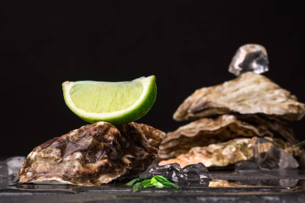 istock Close-up of beautiful large oysters with ice cube and lime segment on top on a black background. Delicious tropical sea mollusk. 826285104