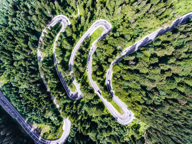 istock Curved road in the forest 826288174