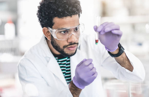 Scientist Looking at Test Tube Scientist Working in The Laboratory african american scientist stock pictures, royalty-free photos & images
