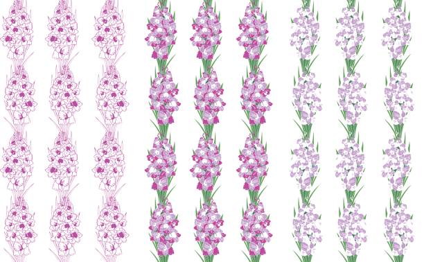 illustrations, cliparts, dessins animés et icônes de glaïeul fleurs motif sur fond blanc - gladiolus flower beauty in nature white background