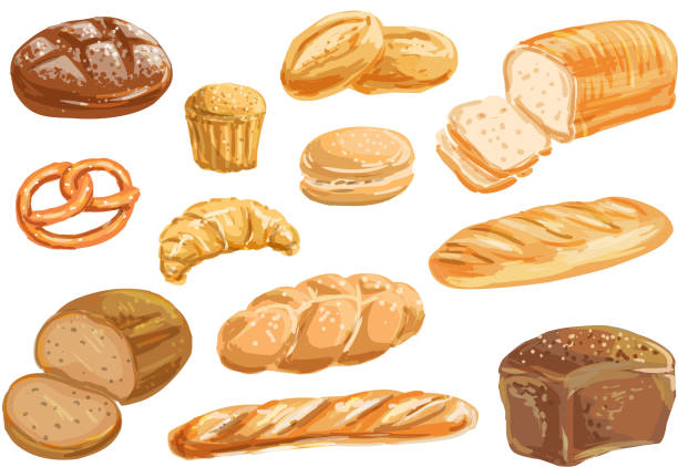 brot und backwaren produkt aquarell zeichnungssatz - bread baked illustration and painting vector stock-grafiken, -clipart, -cartoons und -symbole