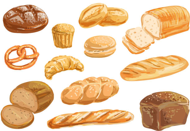 zestaw do rysowania akwareli z akwarelą chleba i produktów piekarniczych - baguette stock illustrations