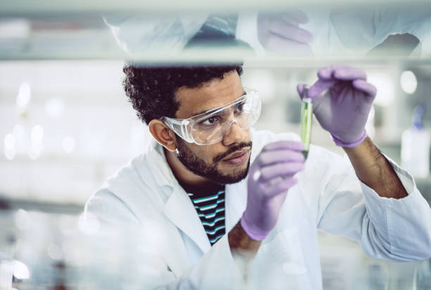 Scientist Looking at Test Tube Scientist Working in The Laboratory biochemistry photos stock pictures, royalty-free photos & images