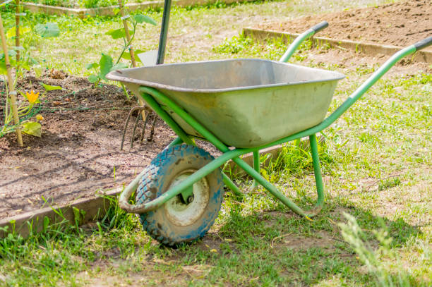 istock garden wheelbarrow near garden bed and tools 826300370