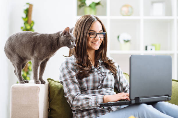 My Russian blue cat loves internet surfing
