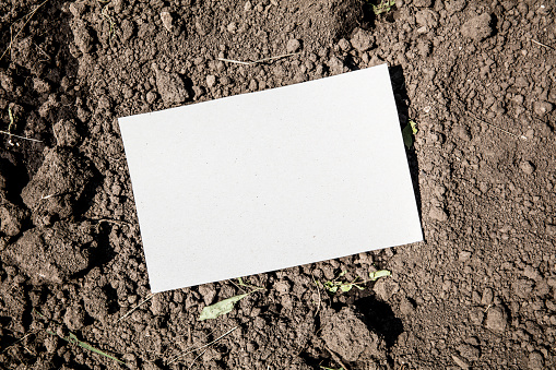White sheet of paper on dry earth