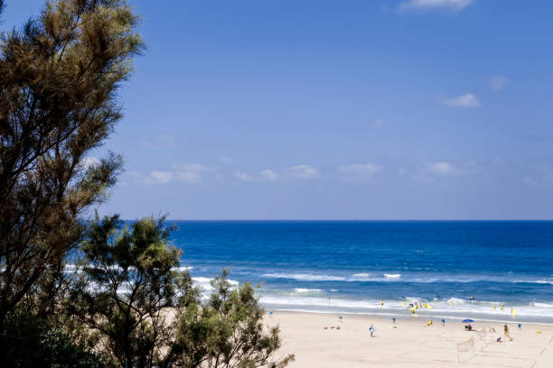 istock Sea beach with people doing sports 826307744
