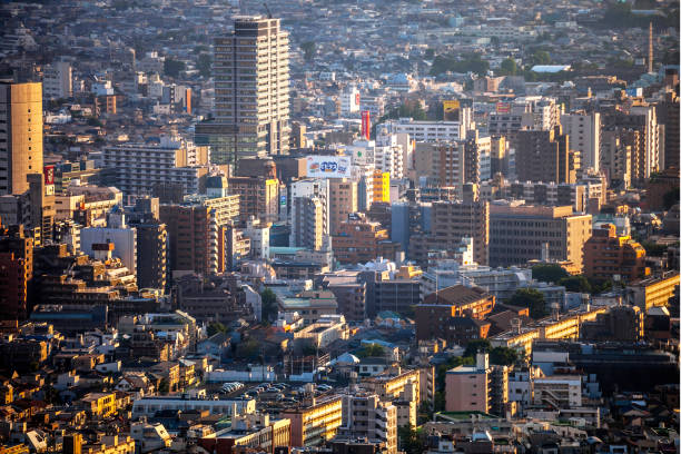 istock Big city view - Tokyo, Japan 826307994