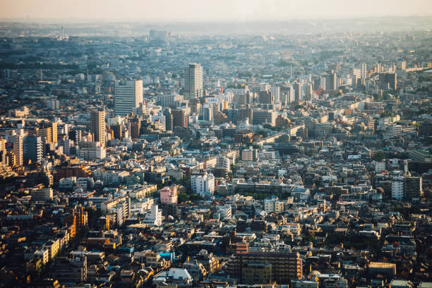 istock Big city view - Tokyo, Japan 826308022