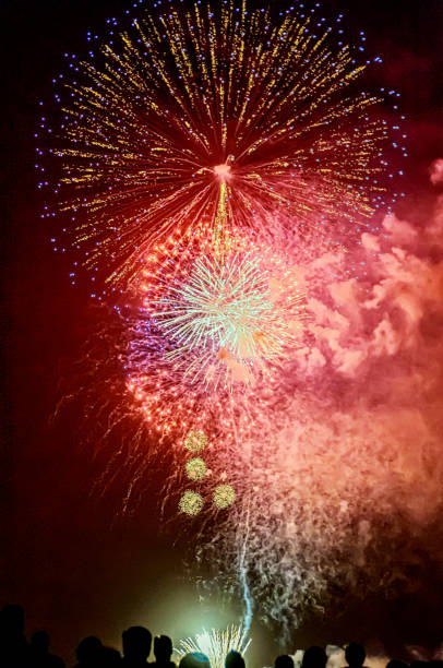 istock Silhouettes of people watching fireworks 826312048