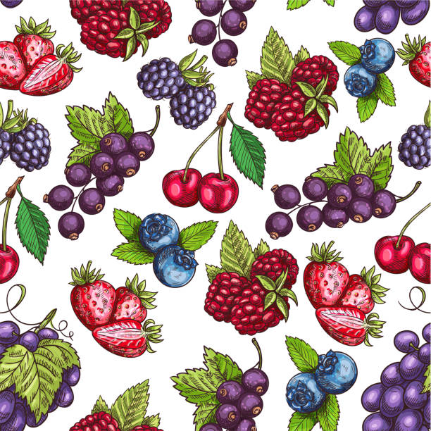 ягоды фрукты эскиз бесшовные картины - currant gooseberry red currant red stock illustrations