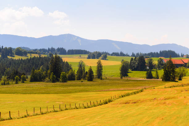 istock Landscape of Bavaria 826315686