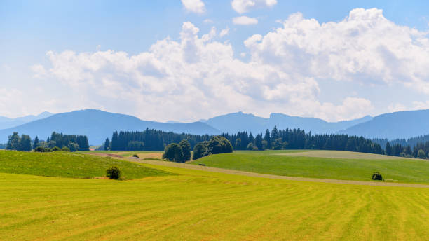 istock Landscape of Bavaria 826315730