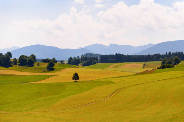 istock Landscape of Bavaria 826315740