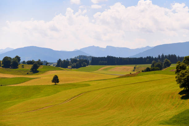 istock Landscape of Bavaria 826315752