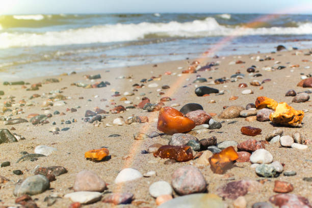 Some pieces of amber found on the Baltic seashore on hand close up cold sea in background