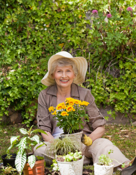 istock Retired woman working in the garden 826316194