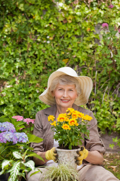 istock Retired woman working in the garden 826316314