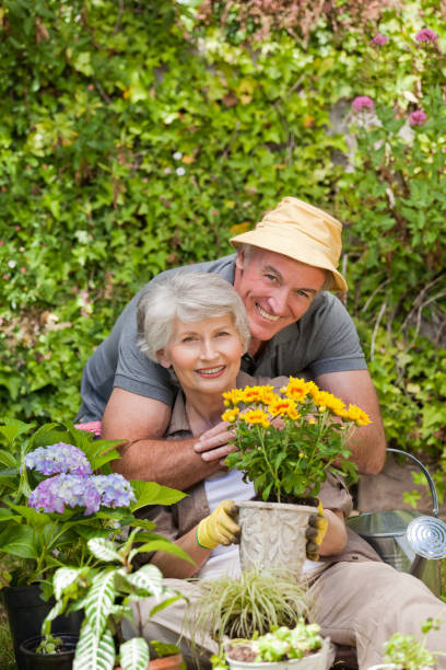 istock Senior couple working in the garden 826316840