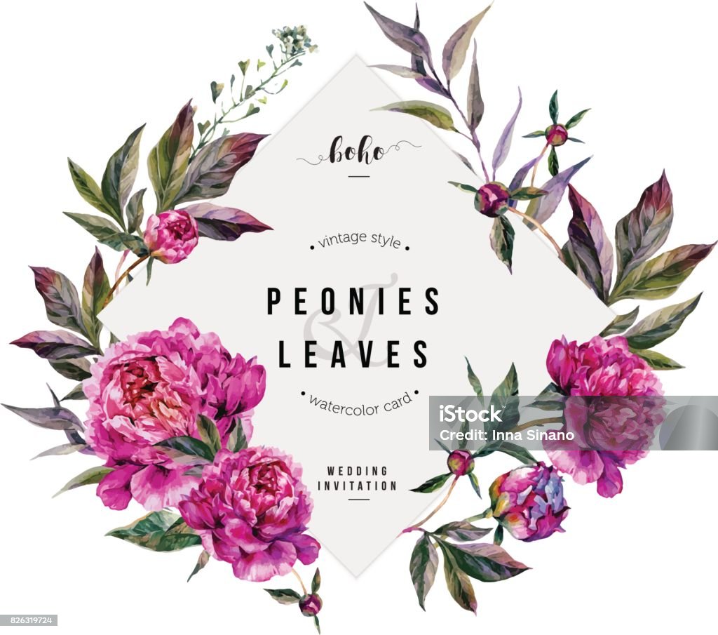 Fuchsia Peonies Greeting Card Watercolor Floral Card with Fuchsia Peonies, Shepherd's Purse and Foliage. Botanical Illustration in Vintage Style. Wedding Decoration Isolated on White. Flower stock vector