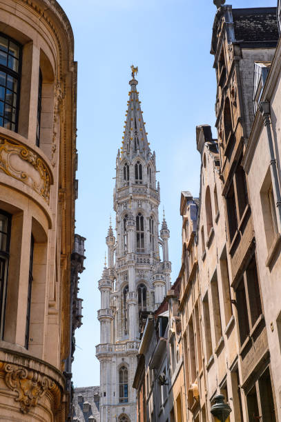 istock Architecture of the centre of Brussels, Belgium 826324712