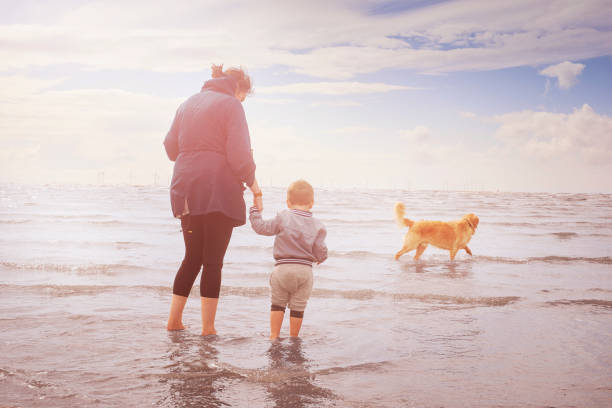 Splashing in the sea with mummy Family enjoying a fun day at the beach on summer staycation family beach vacations travel stock pictures, royalty-free photos & images