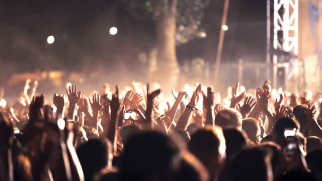 Cheering crowd at a concert.