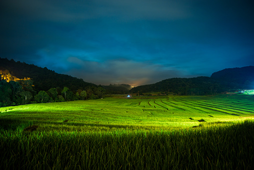 Night atmosphere of rice field at Mae Chaem, Chiang mai, Thailand